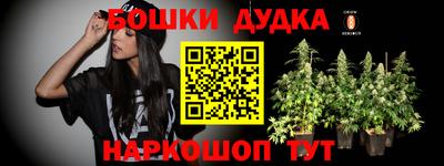 дживик Кингисепп