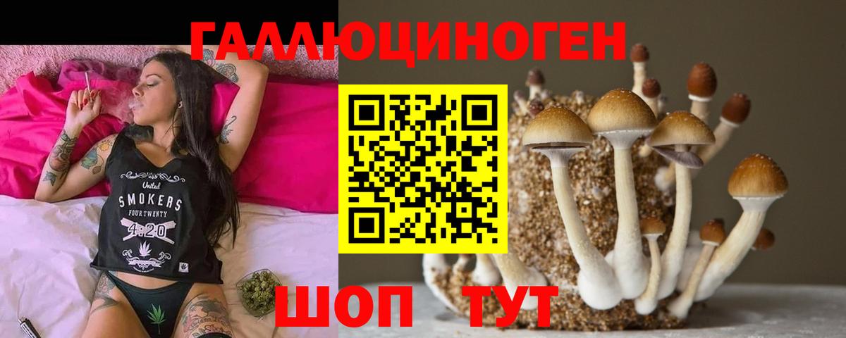 Кропоткин  хочу наркоту  Псилоцибиновые грибы мухоморы  Вход с VPN  Галлюциногенные грибы GOLDEN TEACHER 
